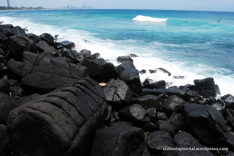 The rocks are awesome! Black, hexagonal basalt columns gradually tumbling off the headland. They're lava that flowed from the Tweed shield volcano about 20 million years ago. 