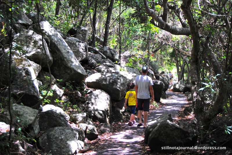 04 Burleigh Headland Walk Oceanview Circuit
