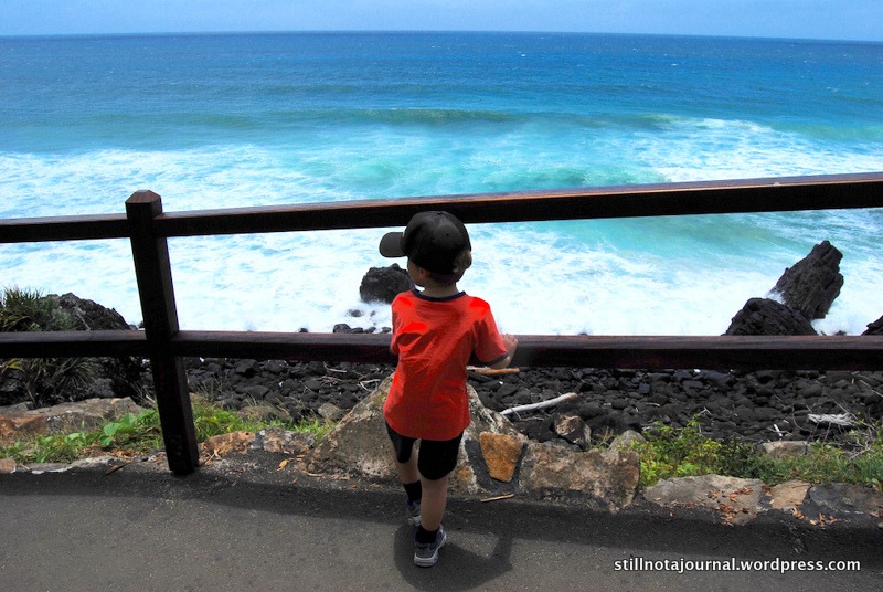 06 Burleigh Headland Walk Oceanview Circuit
