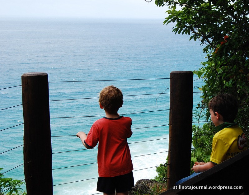 19 Burleigh Rainforest Circuit lookout