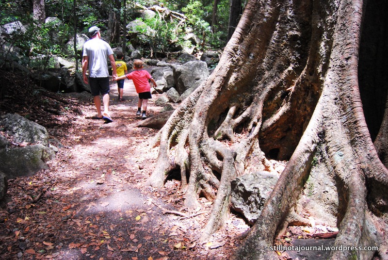 21 Burleigh Rainforest Circuit