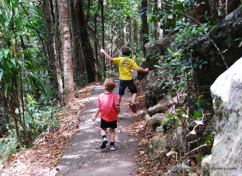 23 Burleigh Rainforest Circuit