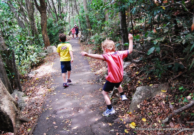 24 Burleigh Rainforest Circuit