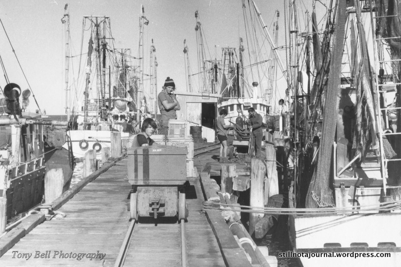 Carnarvon: moderately well known for bananas, prawns and sheep. This prawning jetty however is FAMOUS, and figured prominently in our childhoods. And near the other end of this magical railway is where Mum and Dad met and changed the course of history in their own small way.