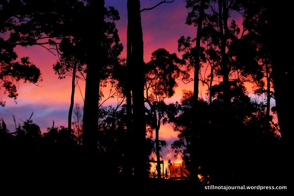 Mainly because of this sunset. I didn't miss it entirely but I didn't have enough time to get to a better vantage point.