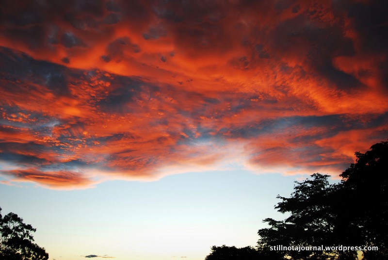 The clouds almost look kind of webby, don't they?