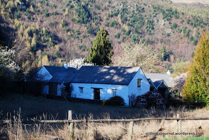 arrowtown-cottage-spring