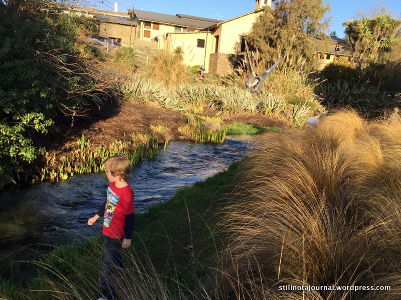 We saw ducklings again too!