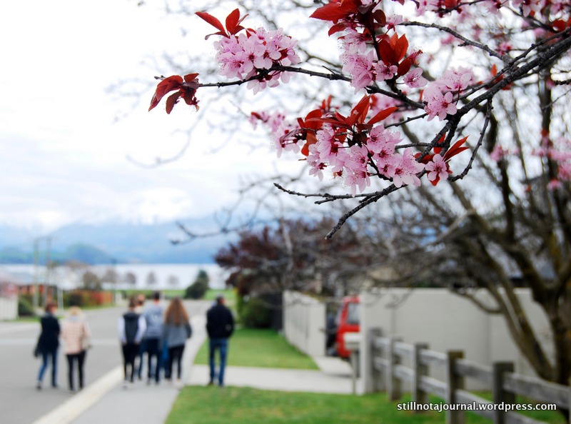 In Wanaka, walking over to the cafe for morning tea.