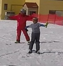 All dinosaurs feared the T-REX!!