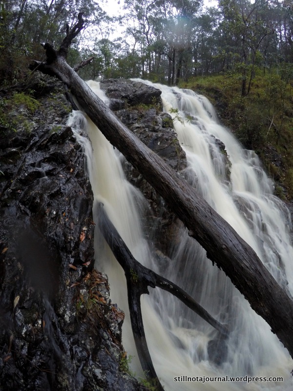 Quite often to check out the waterfall after a bit of rain.