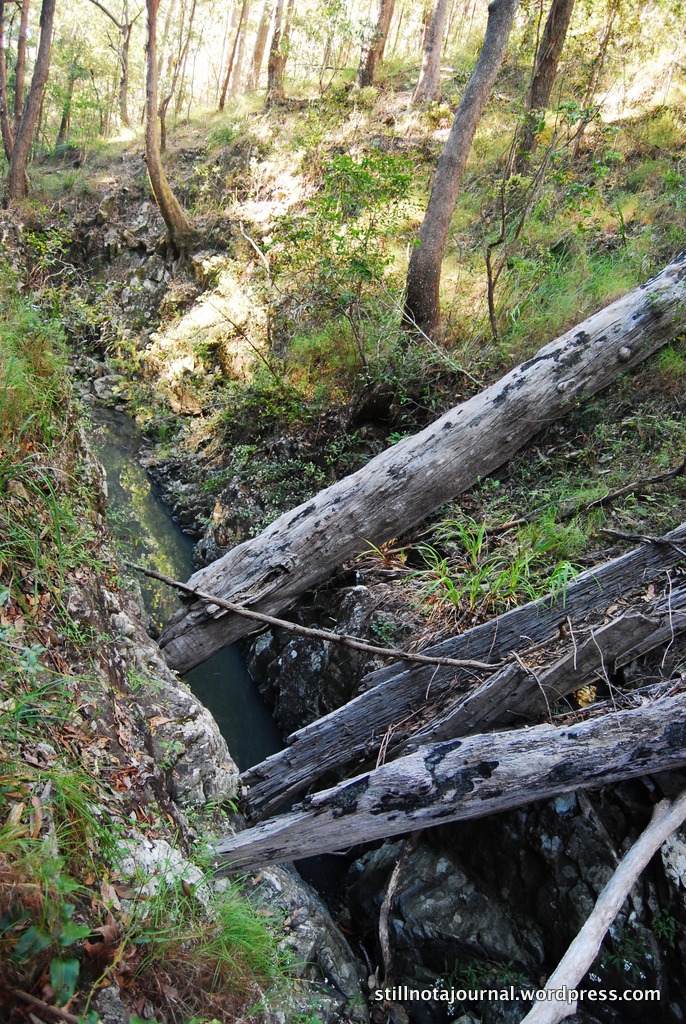 Yeah nah, not going under that.