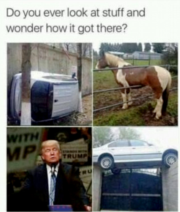 howd it get there.jpg