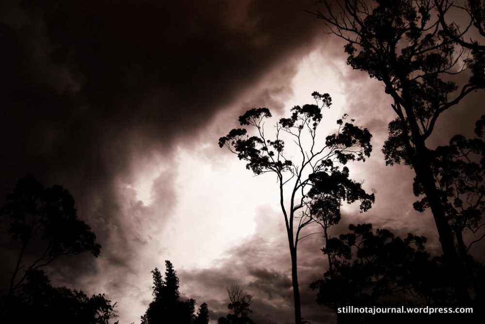 lightning sky tree silhouette clouds