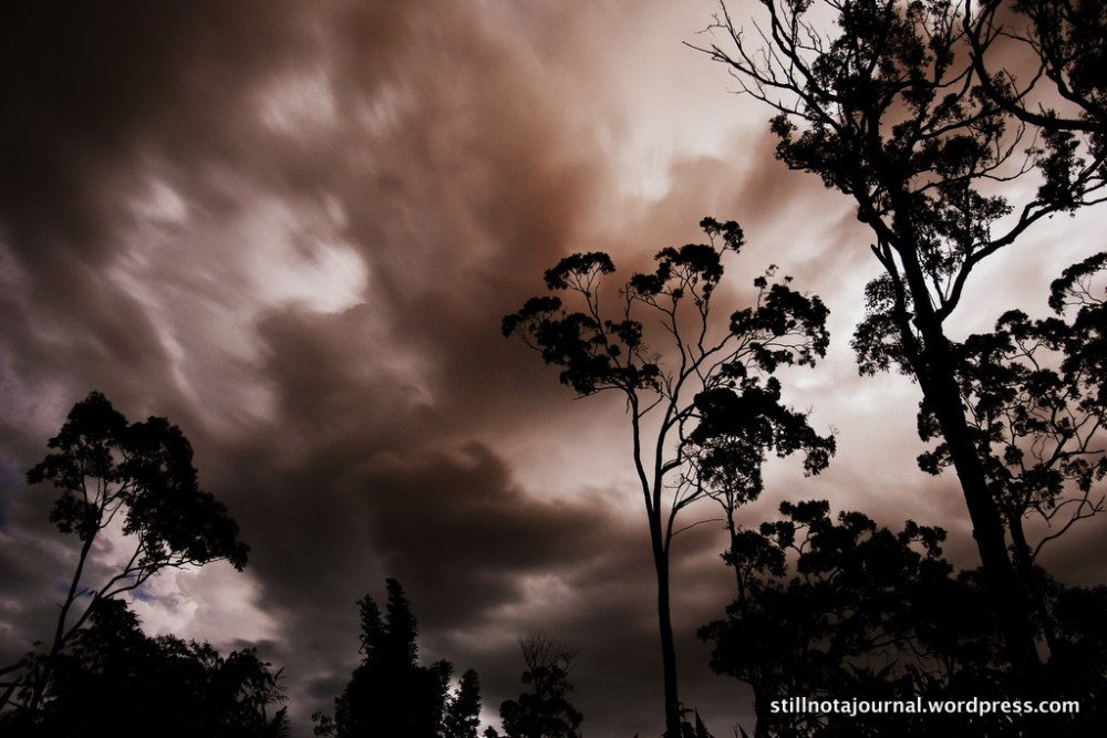 lightning sky tree silhouette clouds gold coast