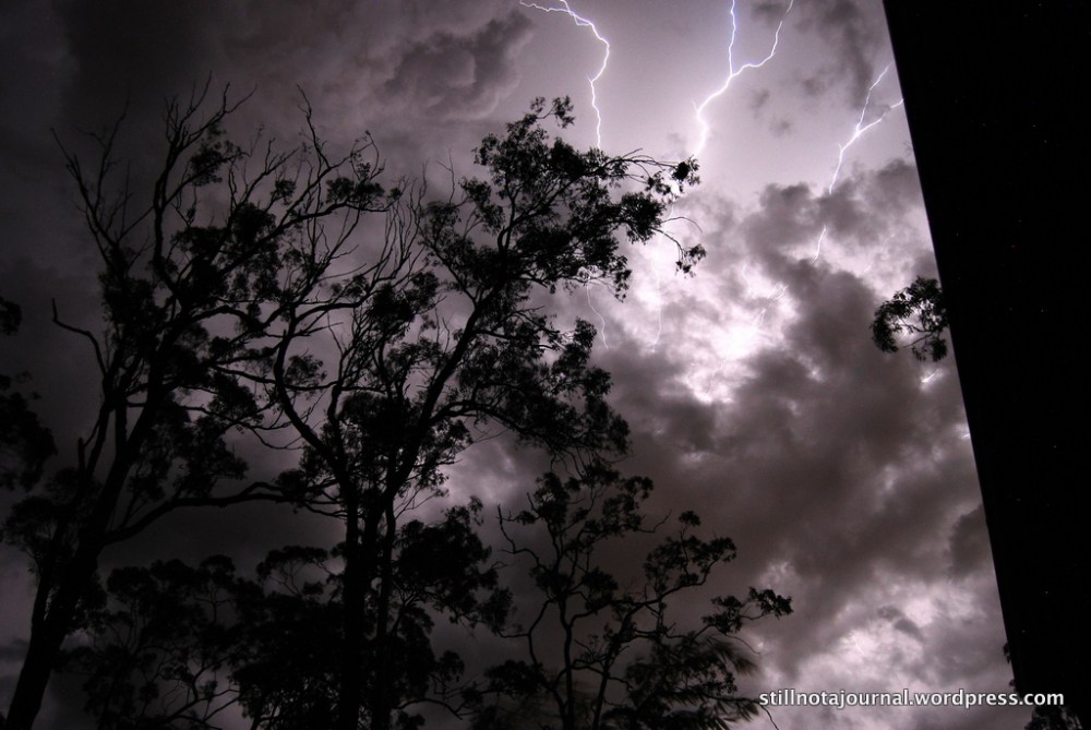 gold coast storm lightning sky tree clouds