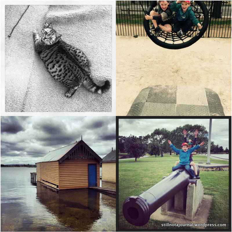 Cute fat cat at my auntie's house, Rory's about to peg his hat at my face, boatshed at Lake Wendouree, the boys channelling their inner Cher.